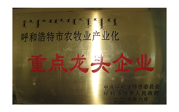 重點龍頭企業(yè)